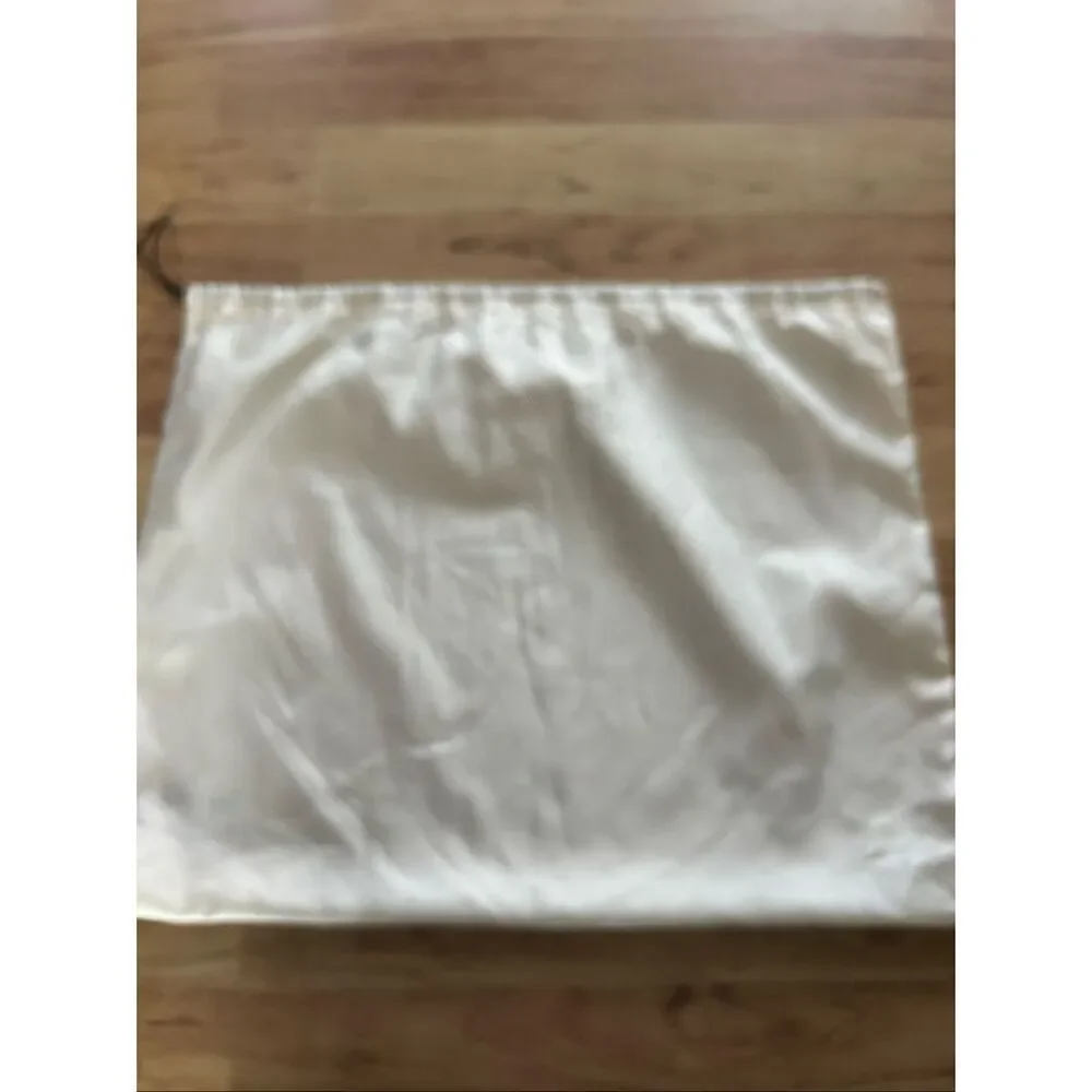 Coach silk bag for storage size 23x18